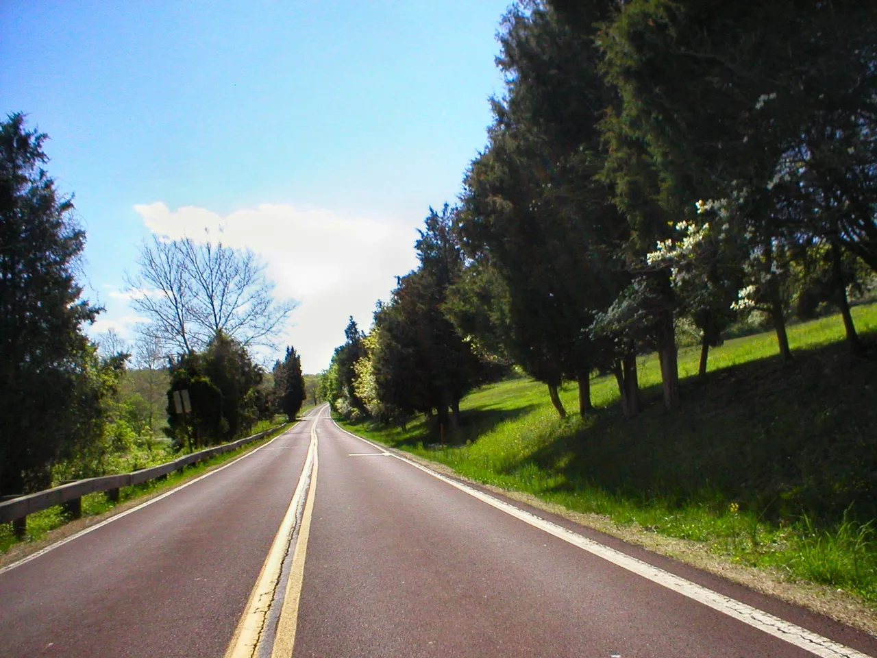 A clear road flanked by trees under a blue sky.