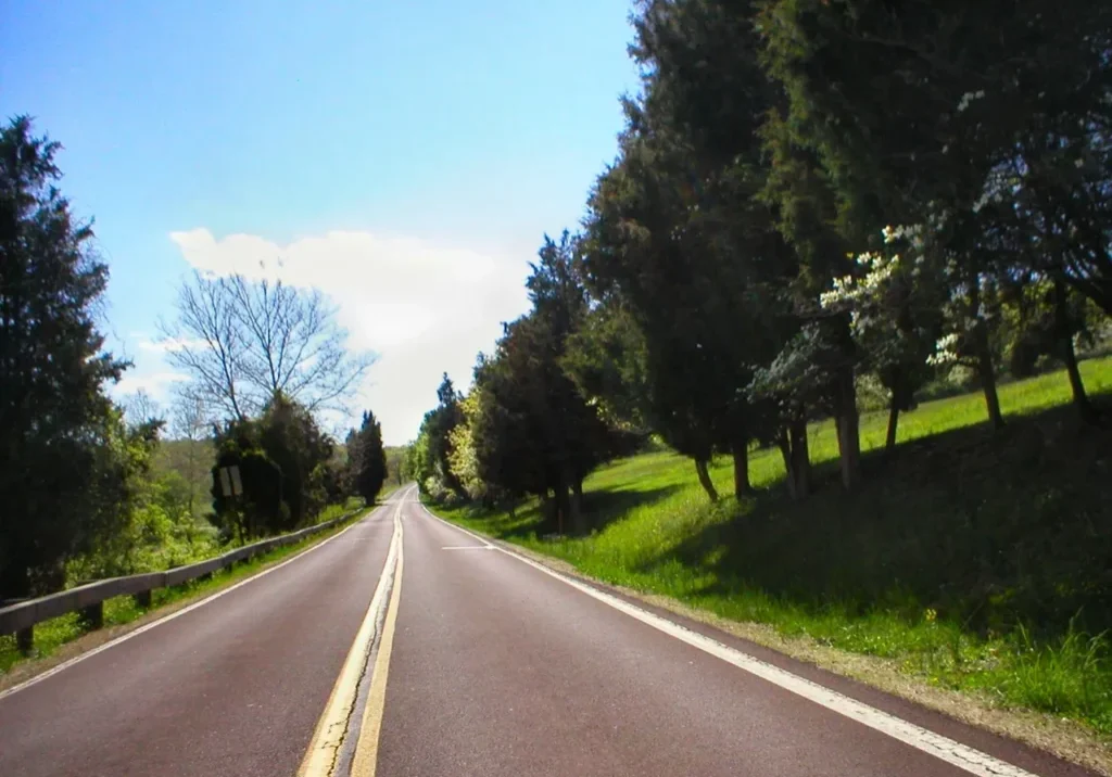 A clear road flanked by trees under a blue sky.